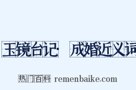 玉镜台记·成婚近义词是什么意思的图片